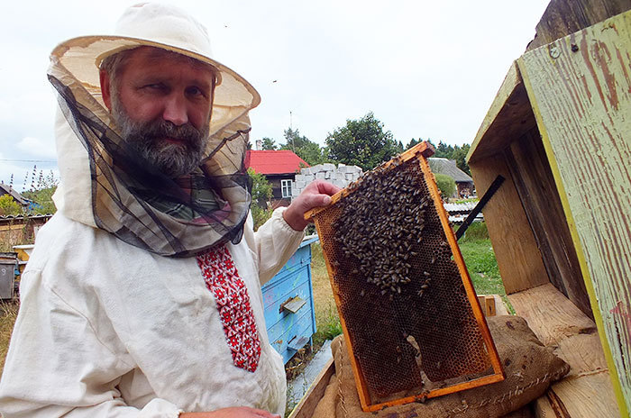 Пчеловодов из Беловежской пущи обучат за деньги ЕС