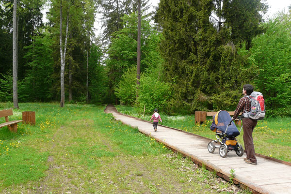 В Беловежской пуще открыт туристический маршрут для людей с ограниченными возможностями
